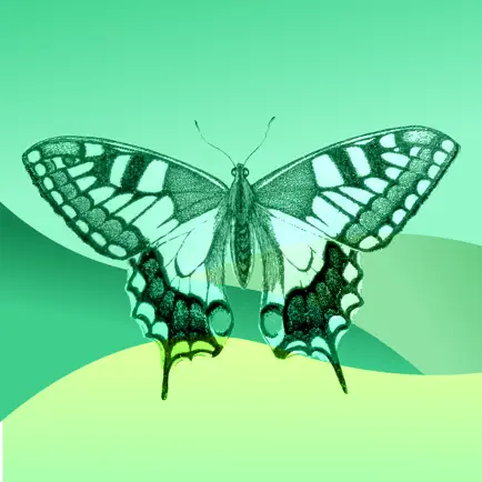 Machaon — Guide des papillons Читы