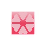 Pink Salt Boutique