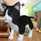 Icon Kitten Cat Craft :Smash Room