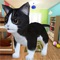 This cat game is different from others cat games because it has 3 game modes,