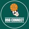 Icon DSG Connect