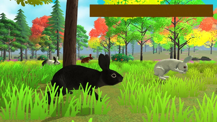 Pet Bunny Rabbit Simulator RPG