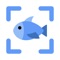 Icon Fish Identifier by Picture