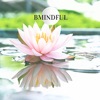 BMINDful