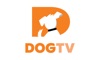 DOGTV