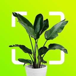 Plant Identifier icono