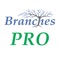Branches is a GEDCOM viewer and a downloader of genealogy trees on FamilySearch™