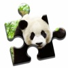 Panda Love Puzzle