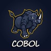 Learn Cobol Programming 2022