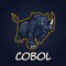 Icon Learn Cobol Programming 2022