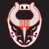 Birmingham Bulls