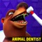 Ever heard of an animal dentist