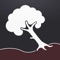 The Level 1 Tree Risk Assessment app helps perform a limited visual tree assessment