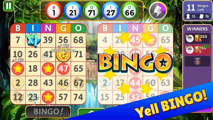 Bingo Star