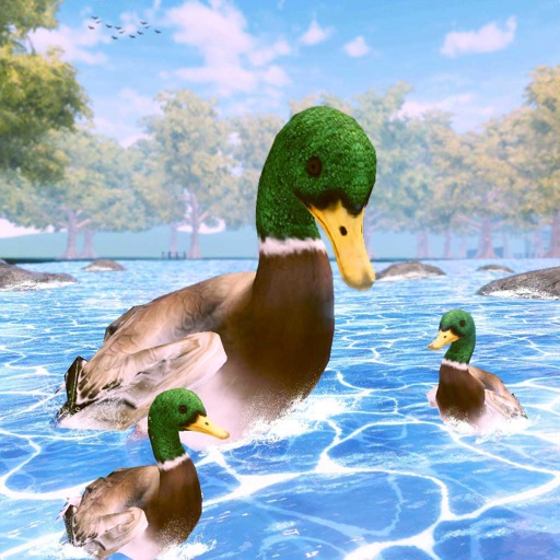 Virtual Duck Life Simulator Icon