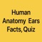 Icon Human Anatomy Ears Facts, Quiz
