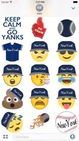 Game screenshot Baseball New York Experience apk