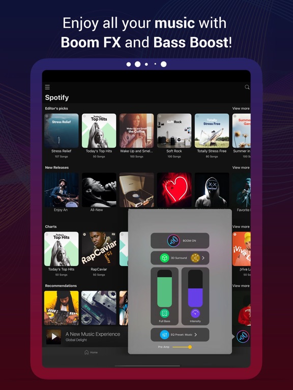 「Boom Bass Booster & Equalizer」 iPadアプリ APPLION