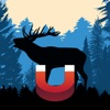 Red Deer Magnet - Deer Calls