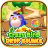 Crazy Bird Drop Bounce