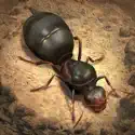 The Ants: Underground Kingdom image