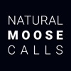 Natural Moose Calls