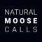 App Icon for Natural Moose Calls App in Canada IOS App Store
