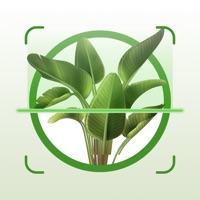 Contact Plant App: Plant Identifier
