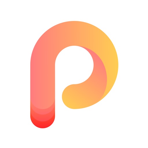 Piconizer. iOS App