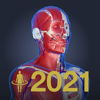 3D人体解剖学 チームラボボディ2021-TEAMLABBODY.inc