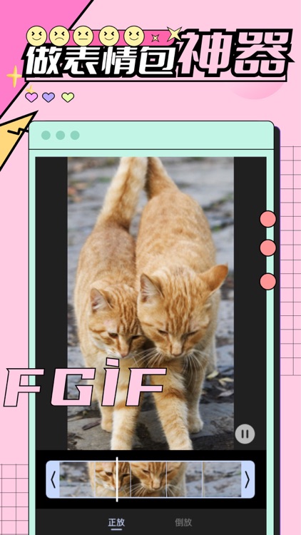 表情包-GIF动图制作,表情包制作&gif制作,GIF表情包