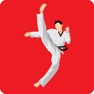 Get Taekwondo Workout At Home for iOS, iPhone, iPad Aso Report