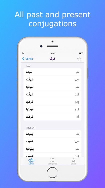 Essential Levantine Arabic screenshot-7