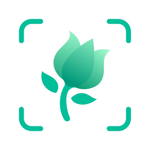 PictureThis-Identifier Plantes PictureThis-Identifier Plantes