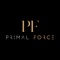 Primal Force is a strength and performance-based studio located in Wollert