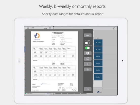 Timesheet PDF screenshot 4