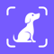 App Icon for Dog Pal - Training & Breed ID App in Denmark IOS App Store