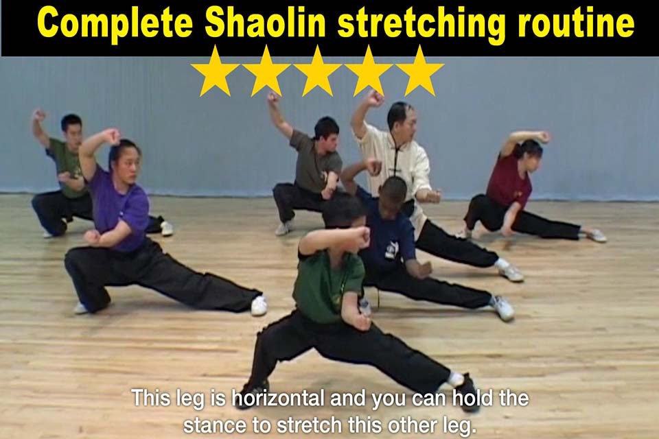 Shaolin Kung Fu Fundamental screenshot 3