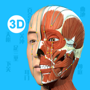 Acupuncture Master