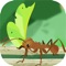 Tiny World-The Kingdom of Ants