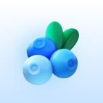 Blueberry Eats – для кухни