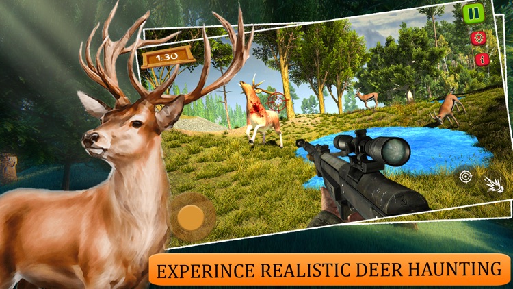 Wild Deer Forest Safari Quest