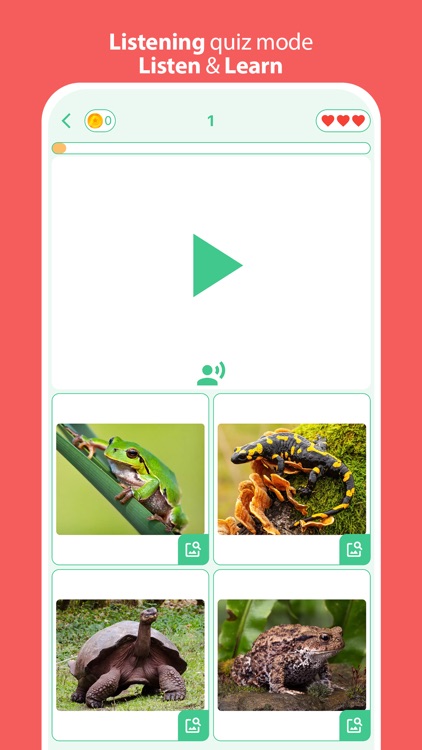 Animals: 4 Pics & Word Quiz screenshot-3