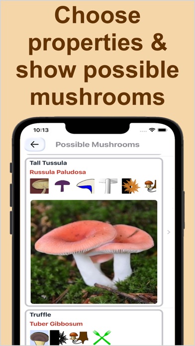 Forest Mushroom Identification screenshot 2