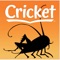 Cricket will delight your child with stories, comics, puzzles, games and more in each digital edition