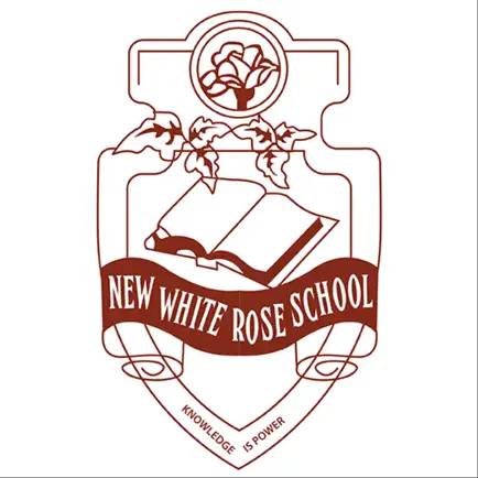 White Rose School Читы