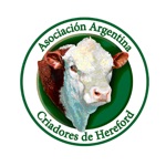 AAC Hereford