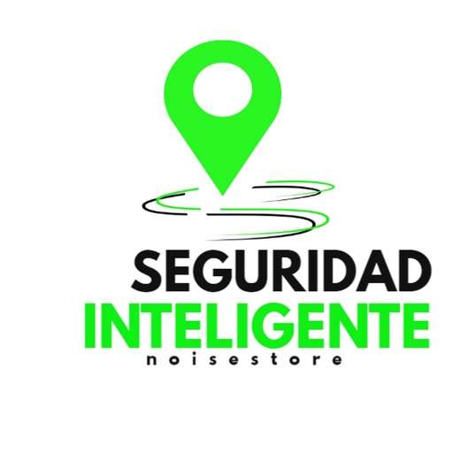 SEGURIDAD INTELIGENTE