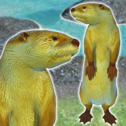 Otter Friends