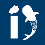 St Helena Whale Shark ID